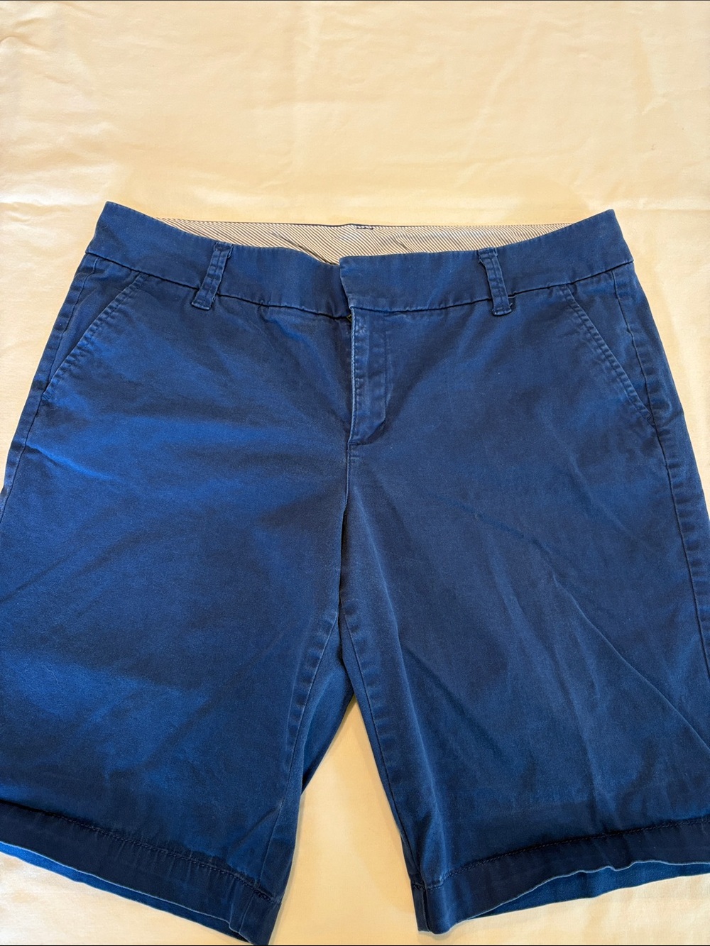 STYLUS Navy and White Striped Lined Shorts